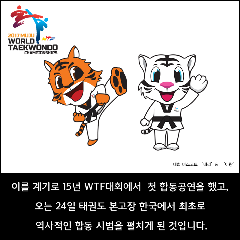 이를 계기로 15년 WTF대회에서 첫 합동공연을 했고, 오는 24일 태권도 본고장 한국에서 최초로 역사적인 합동 시범을 펼치게 된 것입니다.
