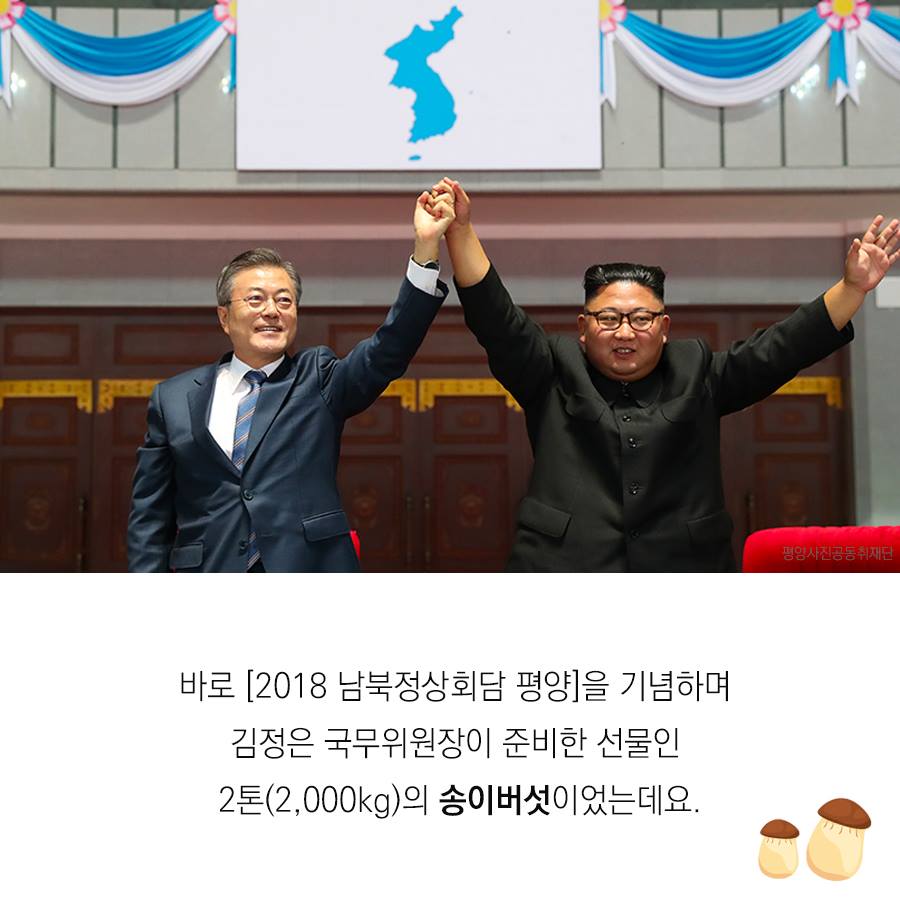 바로 [2018 남북정상회담 평양]을 기념하며 김정은 국무위원장이 준비한 선물인 2톤(2,000kg)의 송이버섯이었는데요.