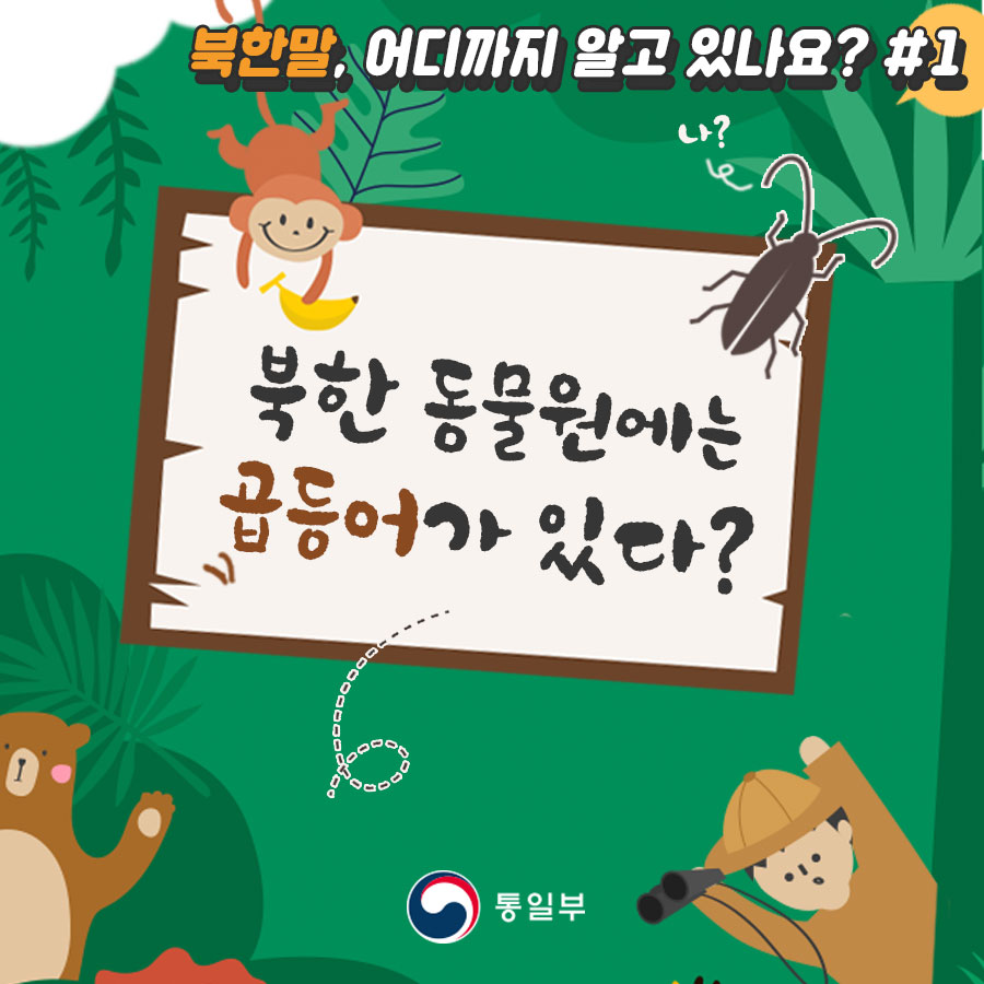 북한말, 어디까지 알고 있나요?#1
북한 동물원에는 곱등어가 있다?
