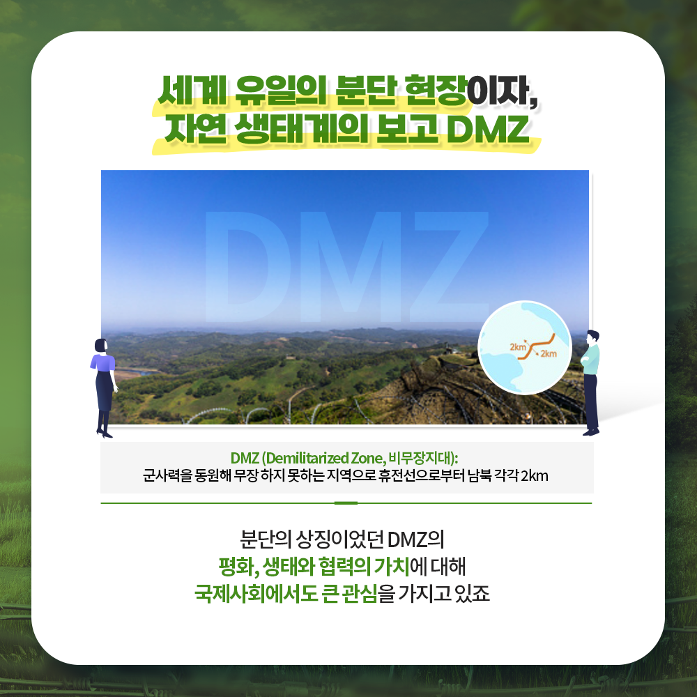 세계 유일의 분단 현장이자, 자연 생태계의 보고 DMZ
DMZ (Demilitarized Zone, 비무장지대) : 군사력을 동원해 무장하지 못하는 지역으로 휴전선으로부터 남북 각각 2km 분단의 상징이었던 DMZ의 평화, 생태와 협력의 가치에 대해 국제사회에서도 큰 관심을 가지고 있죠