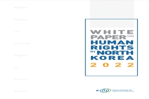 2022 북한인권백서 (영문)